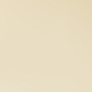 Meet your Posher, Anne